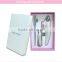 Chinese factory Skin whitening facial kit mini Facial steamer moisturizing and whitening skin