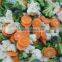 Mixed Vegetables Frozen Product