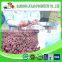 New crop Chinese iqf dried blackberry fruit for juice