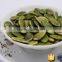Shine Skin Pumpkin Seeds Kernel Grade A/AA/AAA