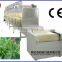 CE certification tunnel type leaf/ herbs leaves microwave oven---on sale promotion