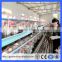 China factory supply hot sale poultry house/chicken poultry layer cage/baby chicken cages for sale(Guangzhou Factory)