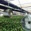 Axial flow fan 550mm poultry farm ventilation fans blower foshan