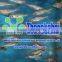 the RAS of Zebrafish breeding system,Zebrafish breeding system