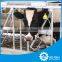 cattle equipment cow lock with trade insurance