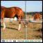 hot dipped galvanized grassland fence fixed knot deer wildlife fence galvanized fixed knot livestock fence