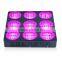 Popular X-Grow 300W 400W 600W Light Grow Led Garden Supply