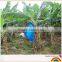 PE plastic Banana protection bag banana cover