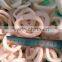 Frozen squid rings in hot sale