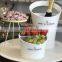 Acrylic Made Moet champagne wine bucket/plastic Champagne Ice bucket