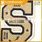 Fashion letter S design embroidered patch for clothing