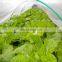 transparent PE tarp with waterproof, uv-protection for green house, High-quality manufacturer in China