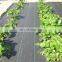 Agricultural Greenhouse Black PP Woven Weed Mat / Weed Control Fabric Mat
