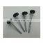 Common Wire Umbrella Head Roofing Nails