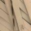Lectra Cutter Blade 801437,801269