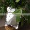 high purity 99%  above Tianeptine sulphate powder / Tianeptine sulfate with CAS:1224690-84-9