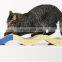 Wave Shaped Corrugated Paper Wear-resisting Pet Toy Cat Scratcher Scratching Board Lounge For Climbing