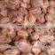 Coconut from 500gms to 600gm