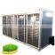 Hydroponic System Animal Fodder Barley Germination Machine 100kg Per Day