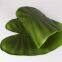 Fancy Artificial Plant Palm Green Leaves Table Placemat for Wedding Decoration