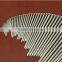 China Manufacturers supply common nails for wood