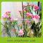 Reasonable price promotional hotel garden floral carnation