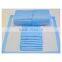 Adult Urinary Incontinence Disposable Underpad 800 Count Soft Fluff Fill (8 Packs of 100) 30*45cm 45g