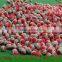 plastic golf ball