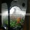 2016NEW Design Plant Grow Light Patent 360 degree Grow Light Aquaponics for greenhouse/indoor/garden decoration