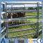 2.1m and 2.4m Lenght Farm Livestock Metal Fence Panels For Sheep / Cattle