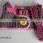 Jean style pet dog collar and vest