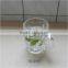 2015 hot sell pint glass beer stein
