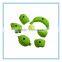 Superior Texture GRP Material Speed Climbing Holds for Kiddies
