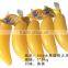 Ice lolly filling sealing machine(CFR)