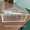 Customized acrylic eyewear tray, eyewear stand, decorative trays stand