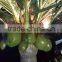 Acrylic Christmas Led Light Tree Outdoor Coconut Palm Tree LED Lights