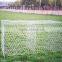 Bird Cage Mesh /Galvanized Hexagonal Wire Netting