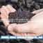 All kinds of Activated Carbon