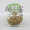 Glass Material Hermetic Jar With Glass Lid & Metal Clip & Silicon Ring