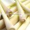 Lemongrass Essential Oil From India /BORG EXPORT