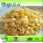 halal food free samples 340g canned sweet corn