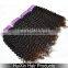Unprocessed Factory Price Human Hair Extensions, Mongolian Kinky Curly Hair