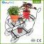 Hot sale outdoor wall corner iron metal wire flower display stand