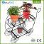 Fancy design iron metal wire flower plant stand