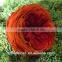 wholesale preserved roses preserved flowers dried flowers Austin rose
