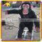 KANO0249 Science Exhibition Decorative Artificial Gorilla For Sale