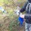 bird netting for fruit trees/bird protection net