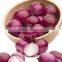 onion importers in quatar/onion importers in malaysia/fresh onion
