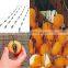 Air dry fruits convenient hanging clip Made in Japan