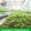 Low Cost Polycarbonate Greenhouse for Plant Grow